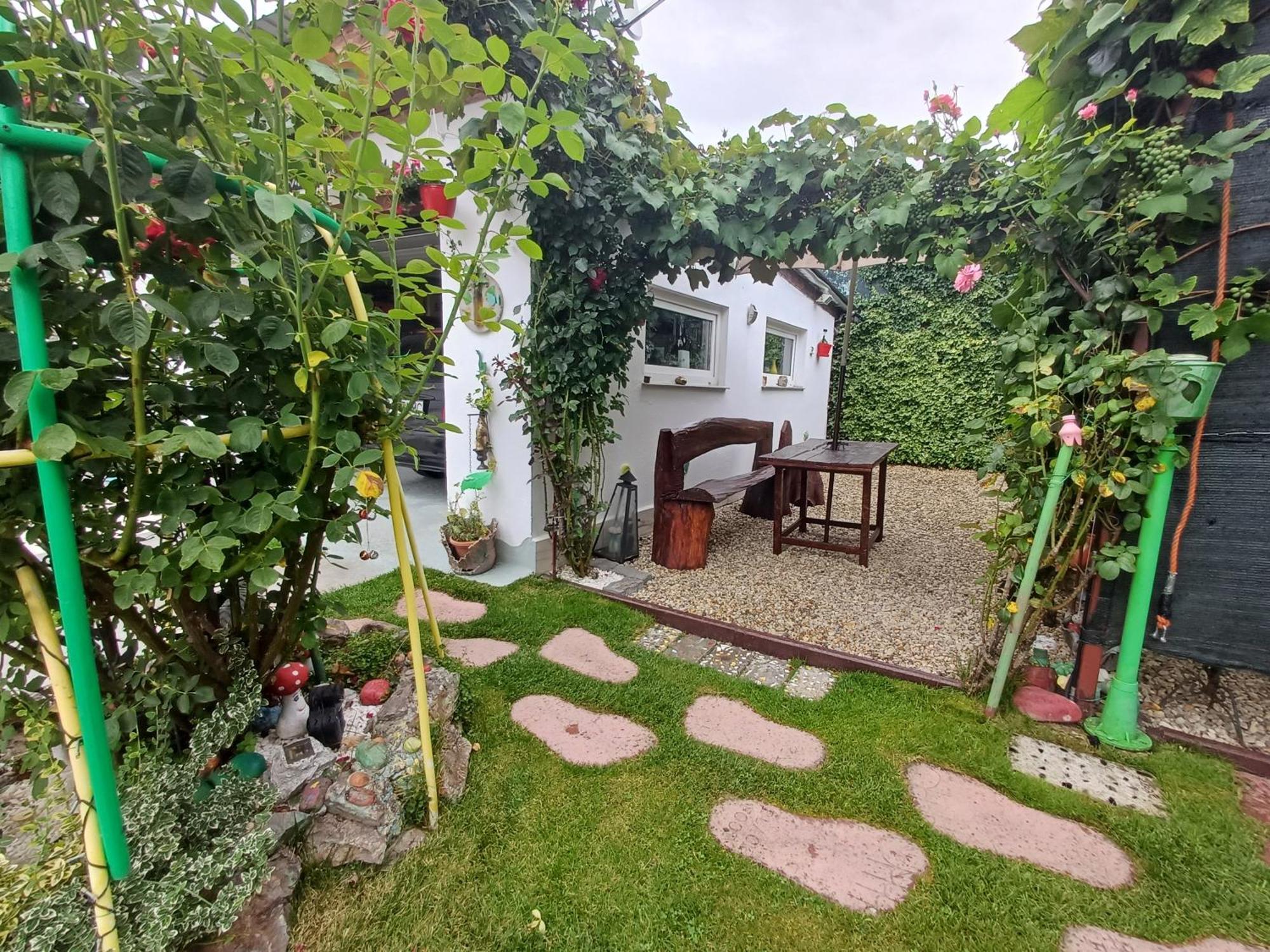 Hotel Casa Marinela à Băile Felix Extérieur photo
